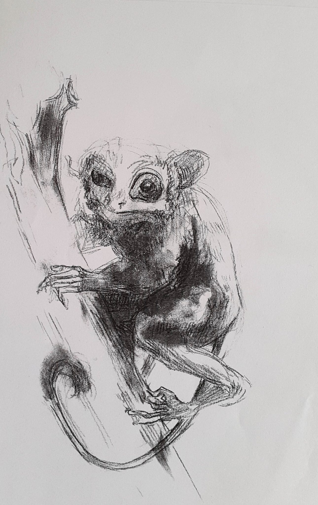 Les spécificités du dessin à la pierre noire blog